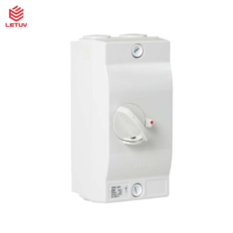 Cầu dao cách ly 2 cực 45A, IP66